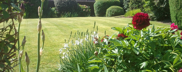 Landscape Gardening Leeds | Garden Maintenance Yorkshire | Groundcare Solutions